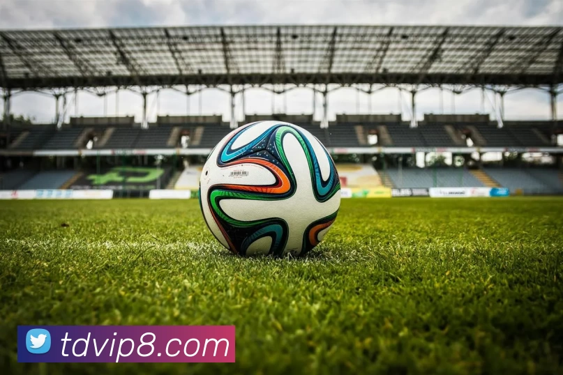 腾达娱乐官网发展历程